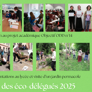 ecodélégués_2024_2025_recap (2)