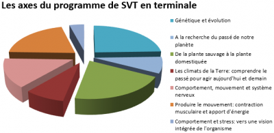 SVT-4-programme_term {PNG}